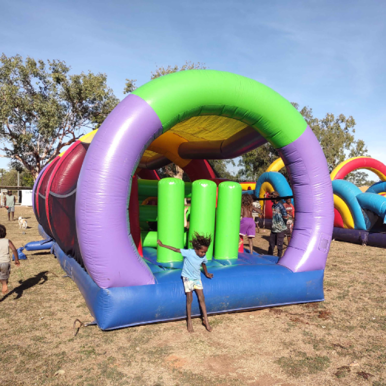 Inflatable Obstacle Course